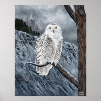 Snöuggleglans utsiktspunkt poster