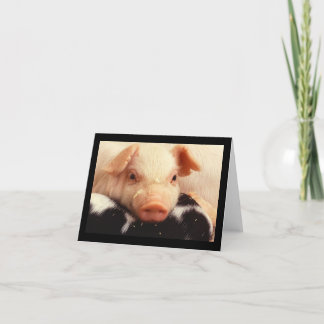 Snout för ansikte för Pigletgris förtjusande Kort
