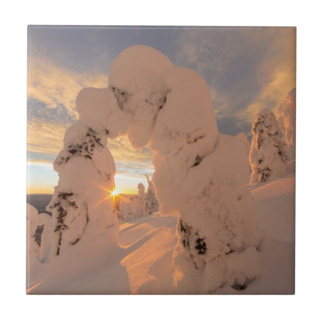 Snövålnader i Whitefish Range Kakelplatta (Framsidan)