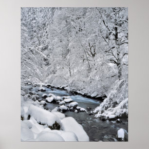 Snövit bäck scenisk, Oregon Poster