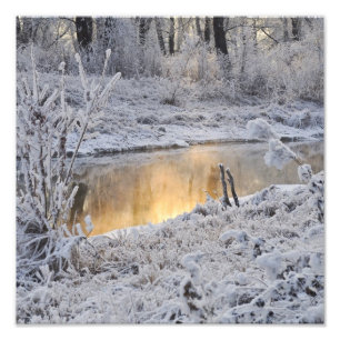 Snövit vintern med ljusreflektion fototryck