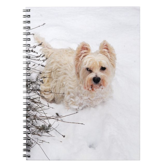 Snövit Westie Hund Foto Anteckningsbok (Framsidan)