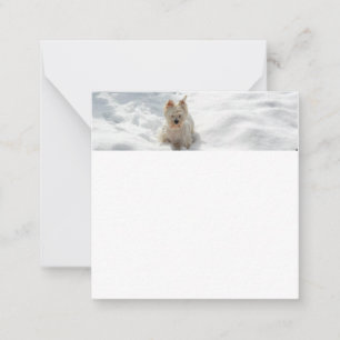 Snövit Westie Hund Foto Platt Notkort Anteckningskort