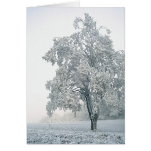 Snövlandskap Hälsningskort