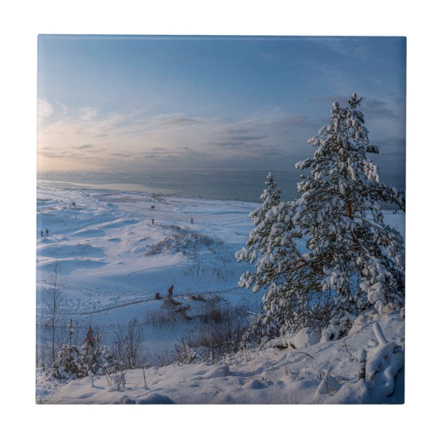Snövvintern Östersjön kusten Kakelplatta (Framsidan)