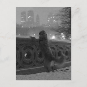 Snövy från Bow Bridge-Central Park vykort