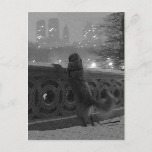 Snövy från Bow Bridge-Central Park vykort (Framsida)