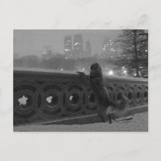 Snövy från Bow Bridge Vykort