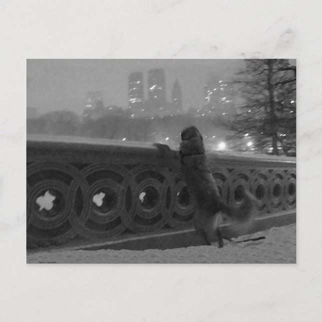 Snövy från Bow Bridge Vykort (Framsida)