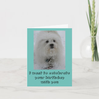 Snow Angels Coton Funny Birthday Card Kort