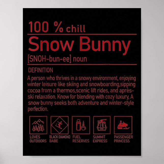 Snow Bunny Definition Funny Trendy Winter Skiing C Poster (Framsidan)