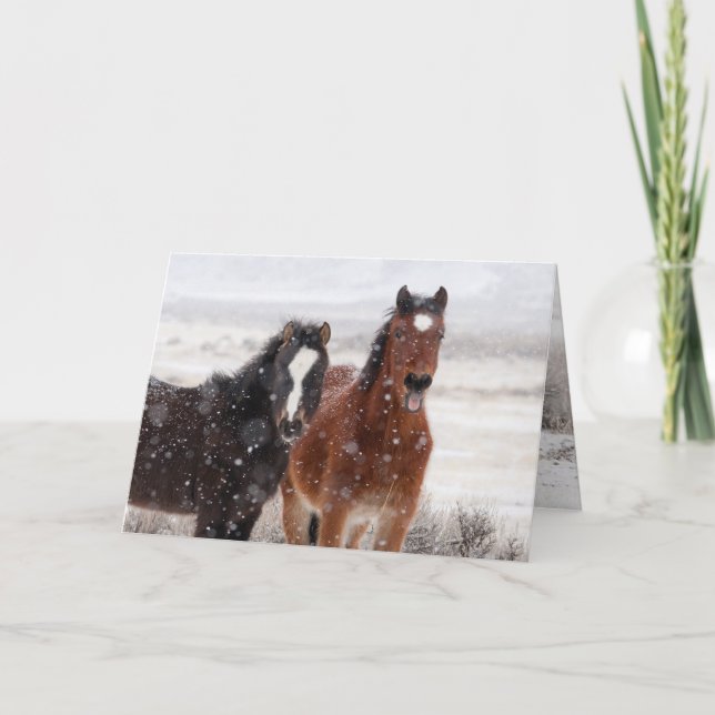 Snow Colts Greeting Card Inbjudan (Framsida)