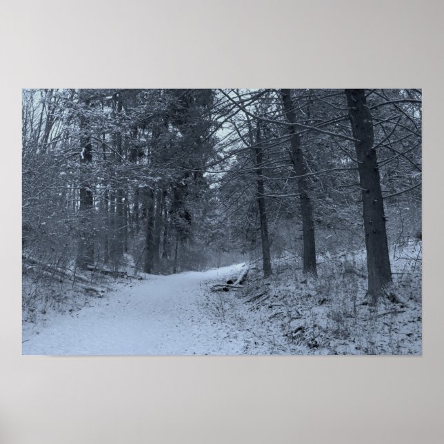 Snow Covered Hiking Trail 1 Poster (Framsidan)