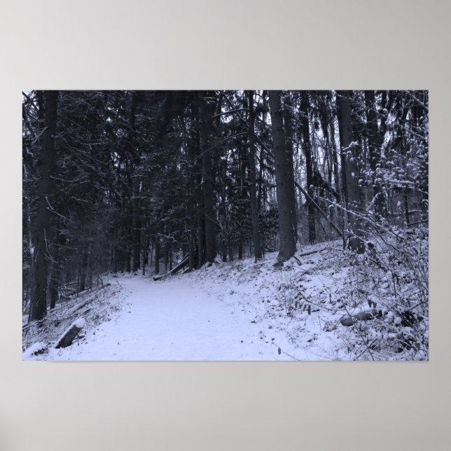 Snow Covered Hiking Trail 2 Poster (Framsidan)