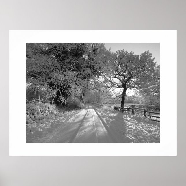 Snow Landscape: Cheshire Poster (Framsidan)