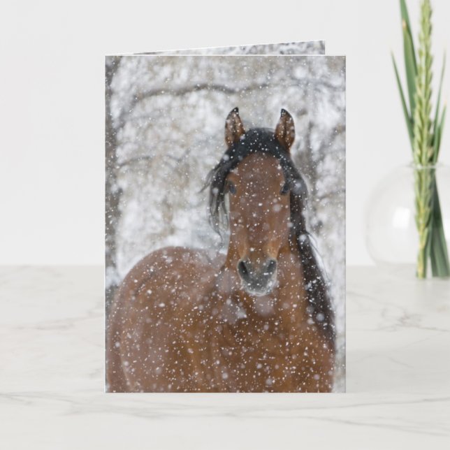 Snow Stallion Greeting Card Inbjudan (Framsida)