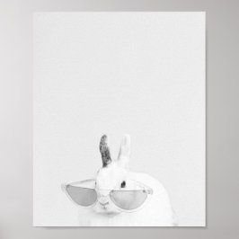 Snowball, kanin poster