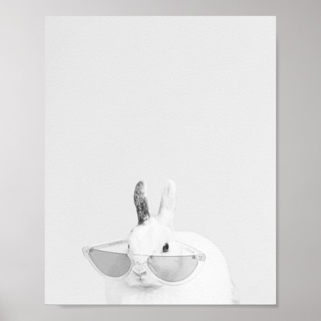 Snowball, kanin poster (Framsidan)