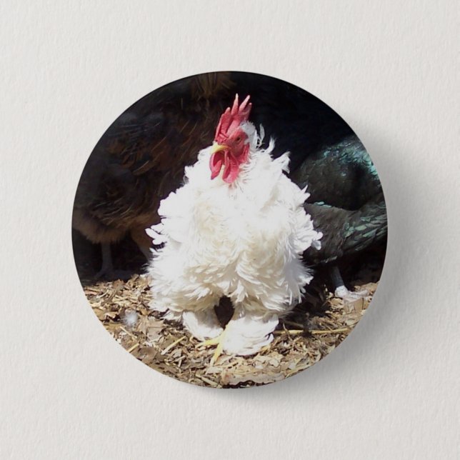 Snowball Knapp (Framsida)