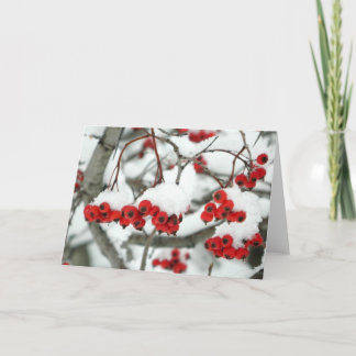 Snowbär-gratulationskort Kort