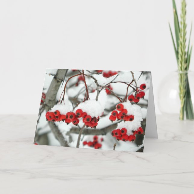 Snowbär-gratulationskort Kort (Framsida)