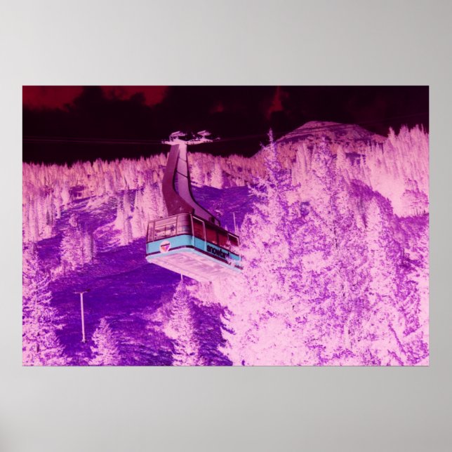 Snowbird Dream Poster (Framsidan)
