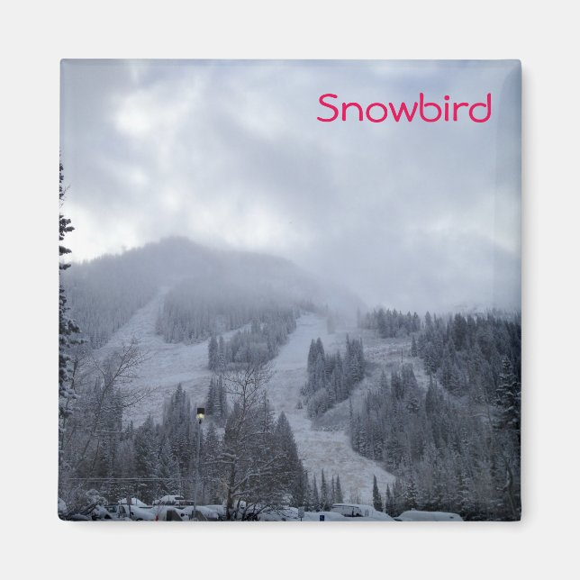 Snowbird Magnet (Framsidan)