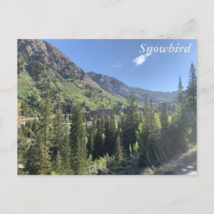 Snowbird - sommar vykort