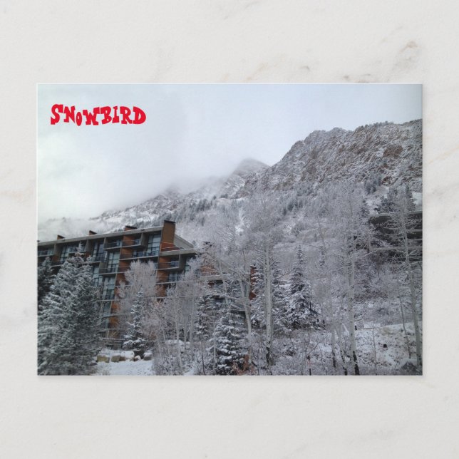 Snowbird Vykort (Framsida)