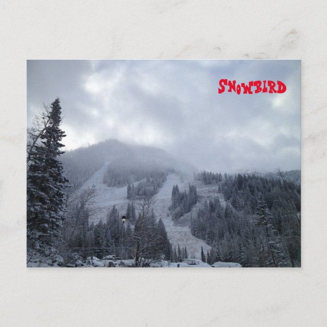 Snowbird Vykort (Framsida)