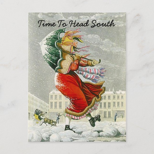 SNOWBIRD'S ANNOUNCEMENT WINTER ADRESS POSTCARD MEDDELANDE VYKORT (Framsida)