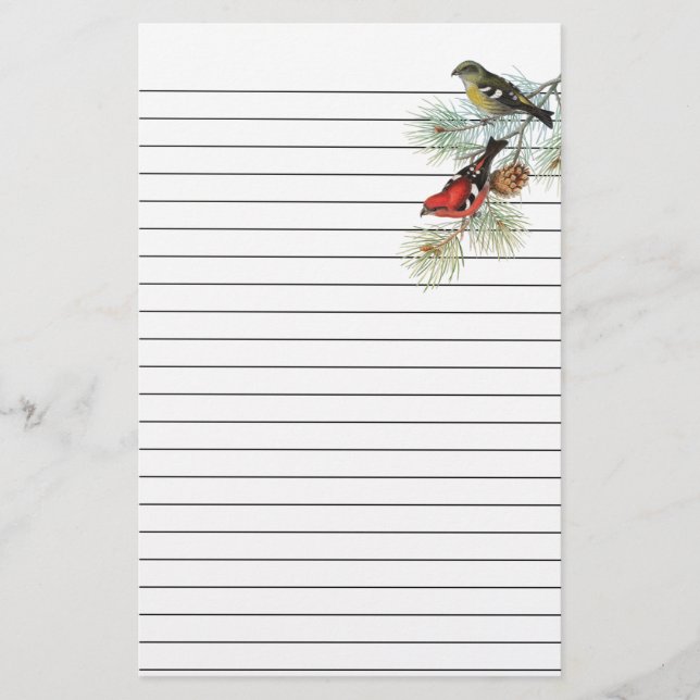 Snowbirds på blått fodrat papper (Framsida)