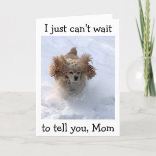 **SNOWBOUND COMEDIC HUND** FÖR MAMMA BIRTHDAG KORT