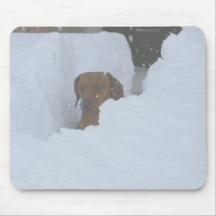 Snowbound Musmatta