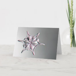 Snowcatcher Snowflake Greeting Card Kort