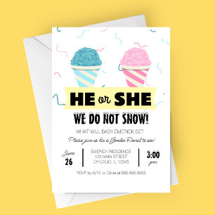 Snowcone Gender Reveal Party Inbjudningar