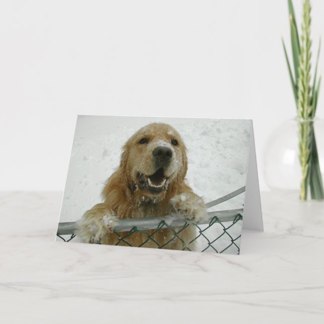 Snowdog Kort (Framsida)