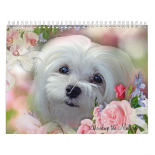Snowdrop den maltesiska kalendern kalender