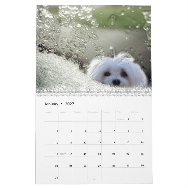 Snowdrop den maltesiska kalendern kalender (Jan 2027)