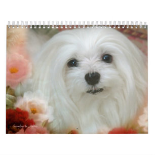 Snowdrop den maltesiska kalendern kalender