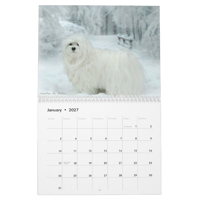 Snowdrop den maltesiska kalendern kalender (Jan 2027)
