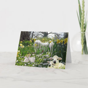 Snowdrop det maltesiska påskkortet helgkort