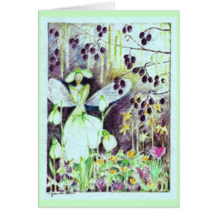 Snowdrop elve "Galanthus ", Hälsningskort