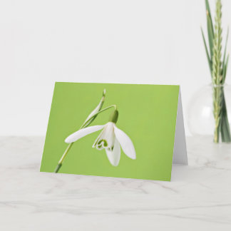 Snowdrop Kort