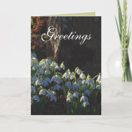 Snowdrop kort