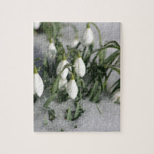 Snowdrop Pussel