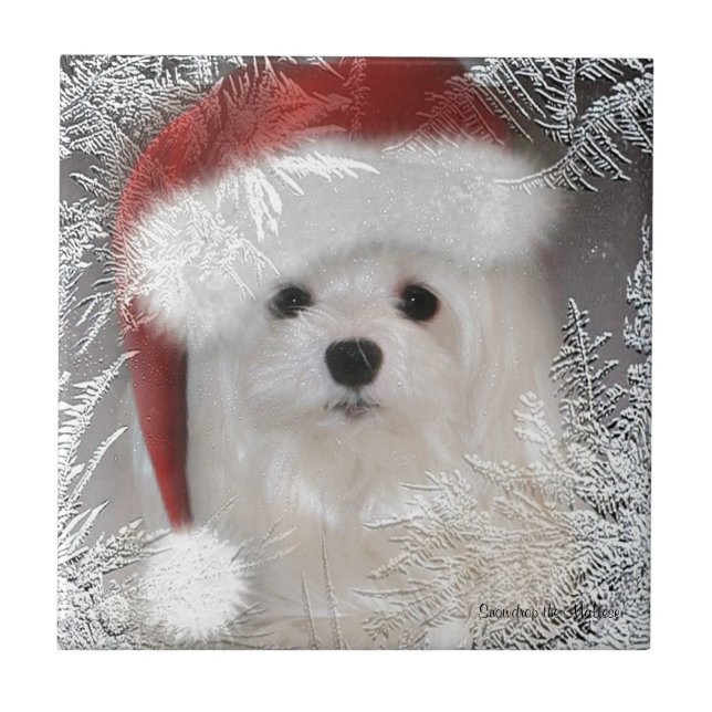 Snowdrop som de maltesiska dekorativa keramiska kakelplatta (Framsidan)