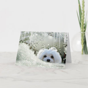 Snowdrop som det maltesiska "tänkande av dig" Card Kort