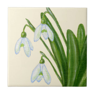 Snowdrops belägger med tegel kakelplatta