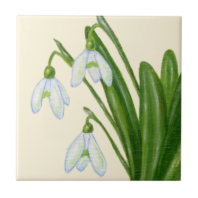 Snowdrops belägger med tegel kakelplatta (Framsidan)